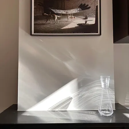 Frans Superior 1 Slpk オステンド